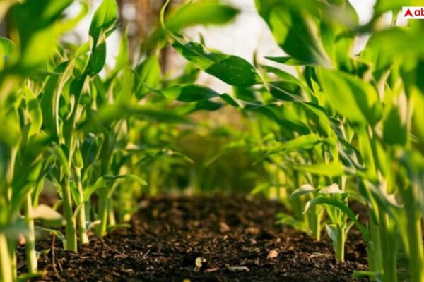 4ee547373ad3232550332a70b2d608b017747847199661315 original