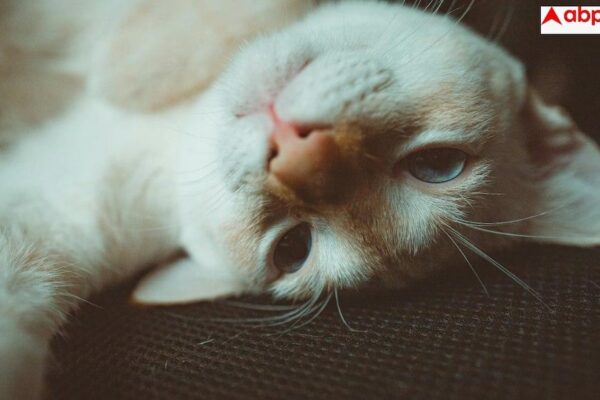 e3830538fcd3253e6c405891caaabf6d17744973913531257 original