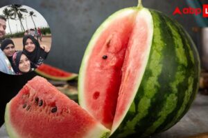 1cfa58e5faba2729e845b6f91ad9554817772899780851380 original