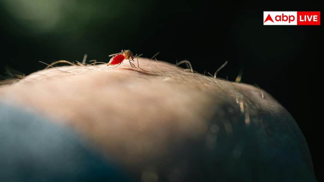 334b20e48db2d3b7b704db6803ba6ac617771162813141380 original