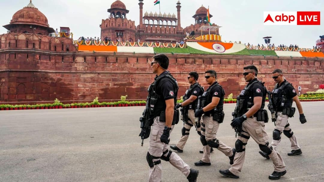 498e71a5546a1566fdd176865b67674c17768423133021386 original