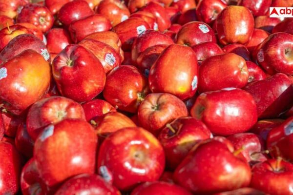 4bbf7baae726ac489d32f66ac50f4ca917760663055111257 original