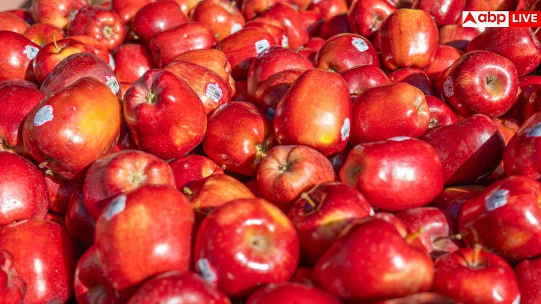 4bbf7baae726ac489d32f66ac50f4ca917760663055111257 original