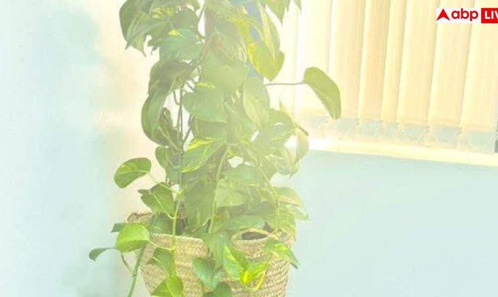 730ff9a1faff20e16f6f20c17a5cdb6017768564428641257 original