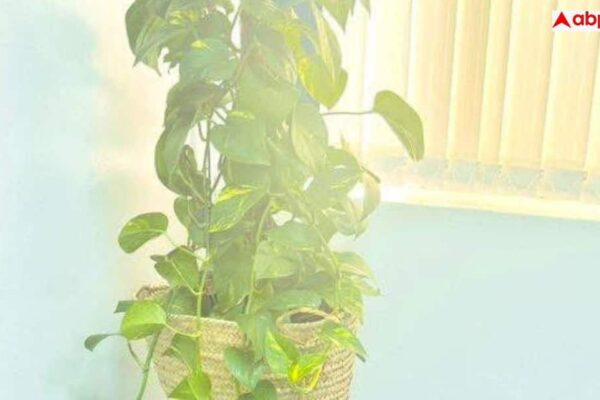 730ff9a1faff20e16f6f20c17a5cdb6017768564428641257 original