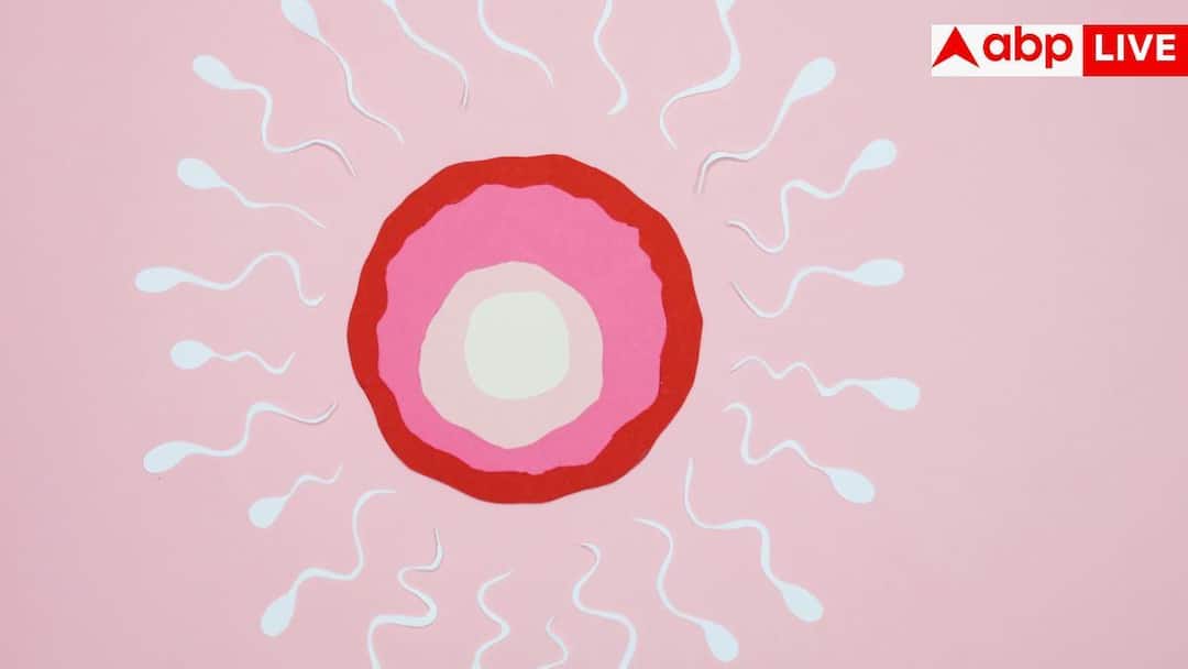 d486e042a29112c0750da4b9b64dddaa17759773790761257 original