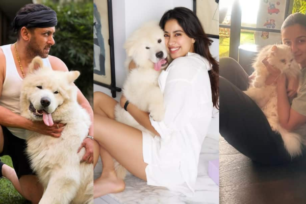 e24eb948e6bd8d39603ee5c913c4fae517758293535501372 original