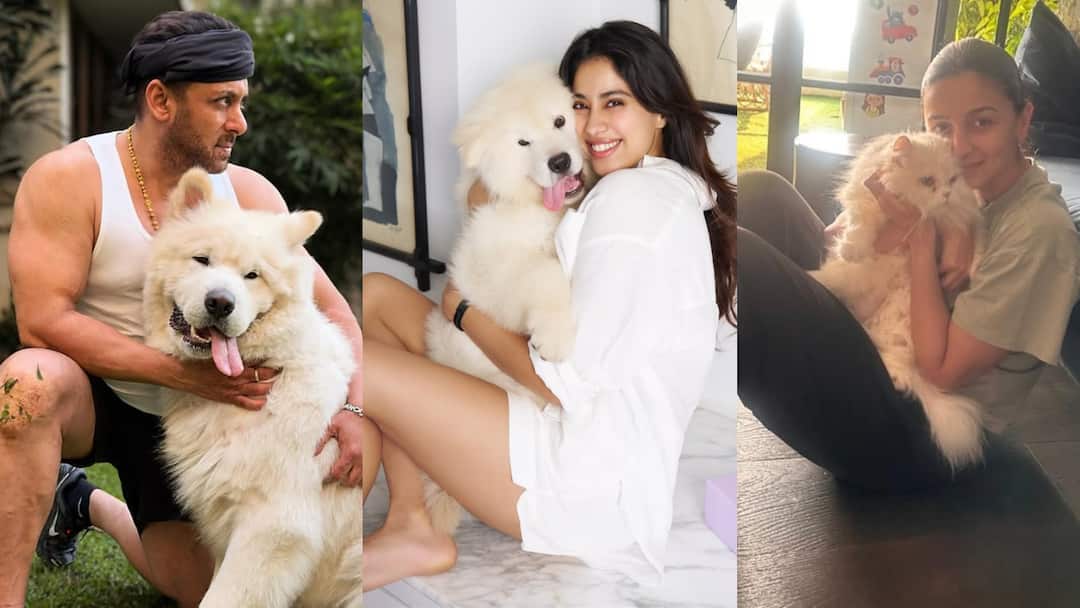 e24eb948e6bd8d39603ee5c913c4fae517758293535501372 original