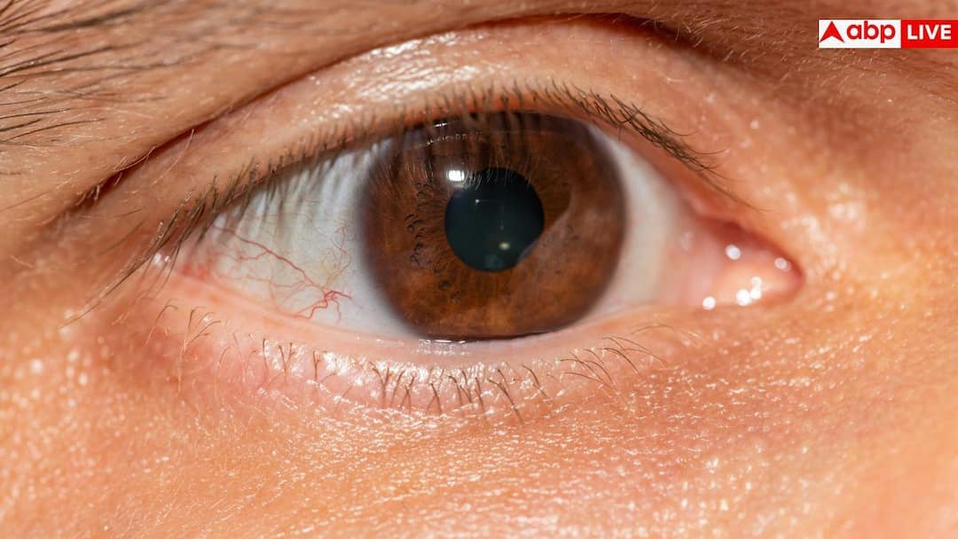 f7531eafdbc43f24495018e5ec28852117767577361681257 original