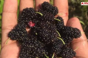 fd05ab79c8e03d7ca8dc85eb4563cc5017762587881471257 original