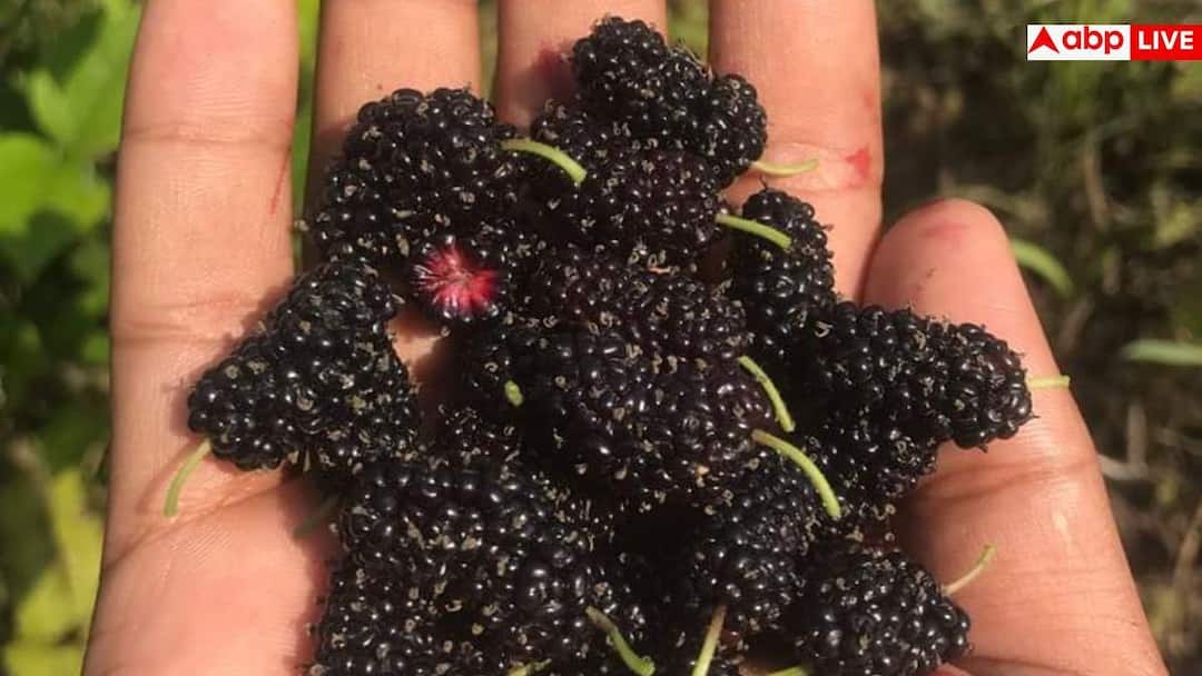 fd05ab79c8e03d7ca8dc85eb4563cc5017762587881471257 original