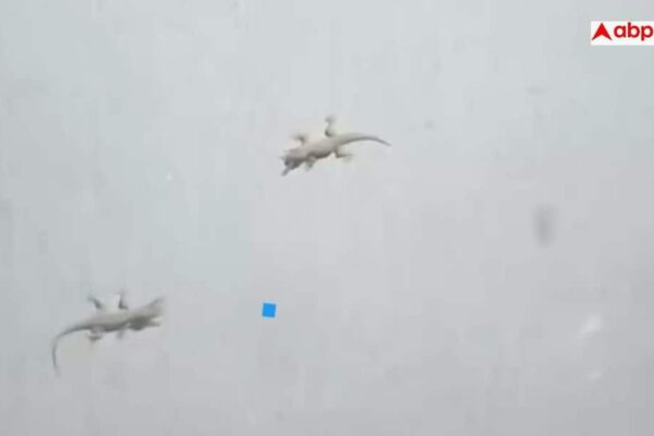 64b0064697b51efa51d51c3192bdf54d17830716915231257 original