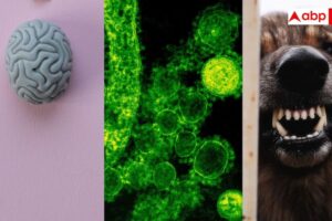 4c2e84ef85fed022db3f0c34762c523e17926514203271472 original